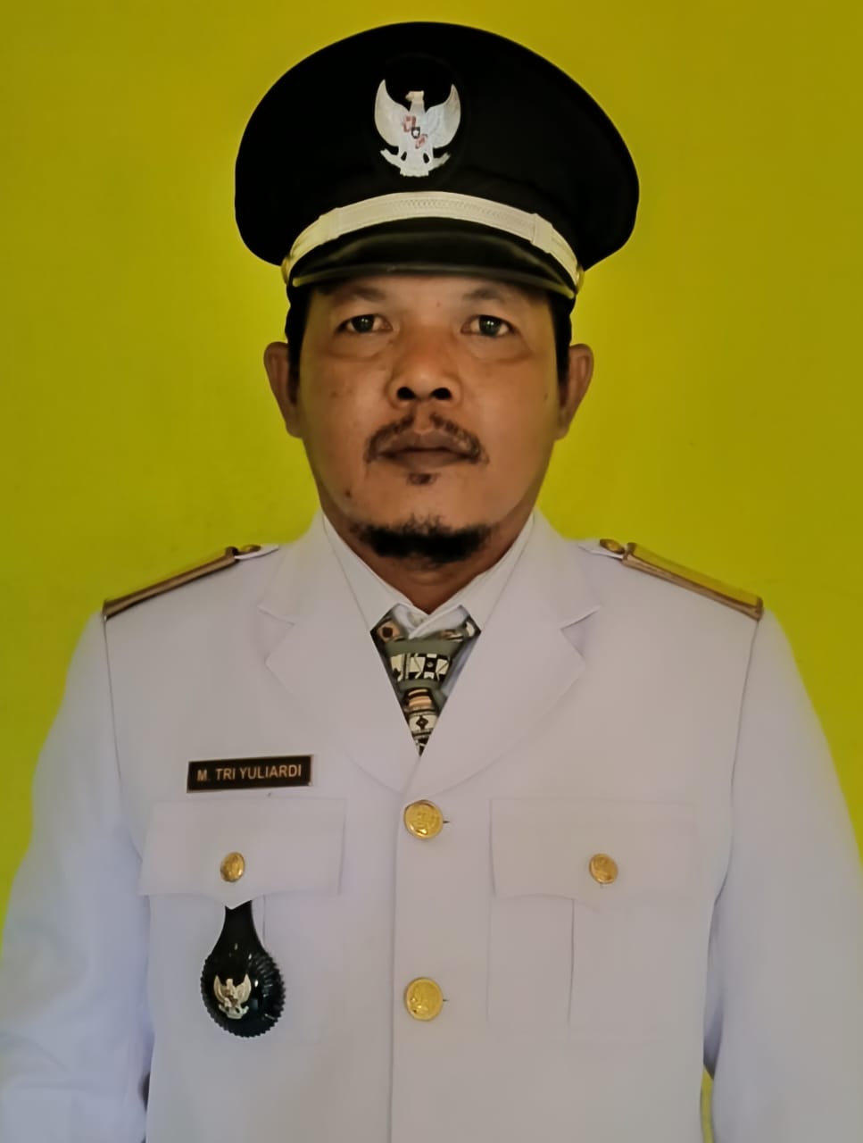 M. TRI YULIARDI