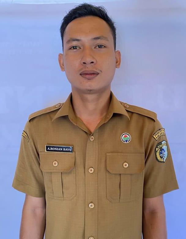ARDIANUS RONIAN BAYU